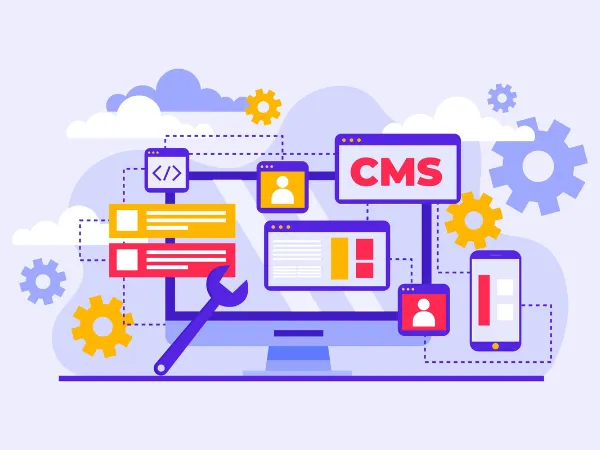 WordPress, Shopify, Custom CMS